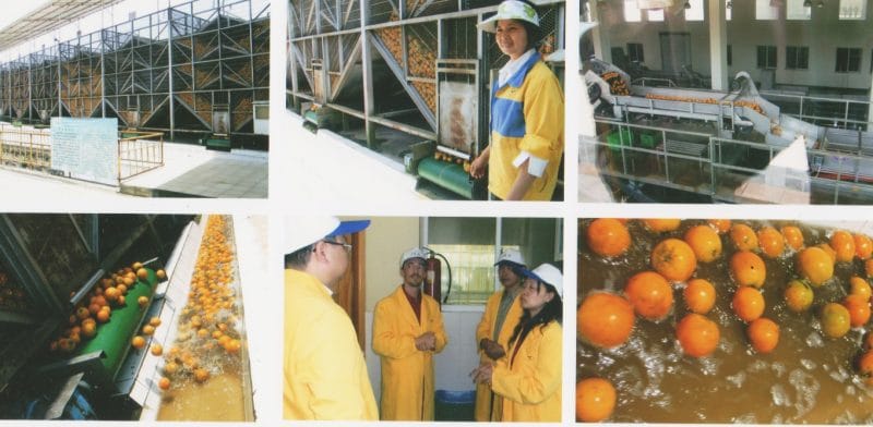 sinaasappelsapfabriek in Sichuan China, die sinaasappelsap en olie (D-limoneen) wint