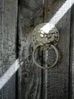 Bois brûlé et lion en bronze