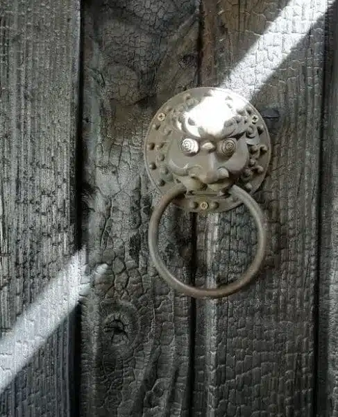 Bois brûlé et lion en bronze