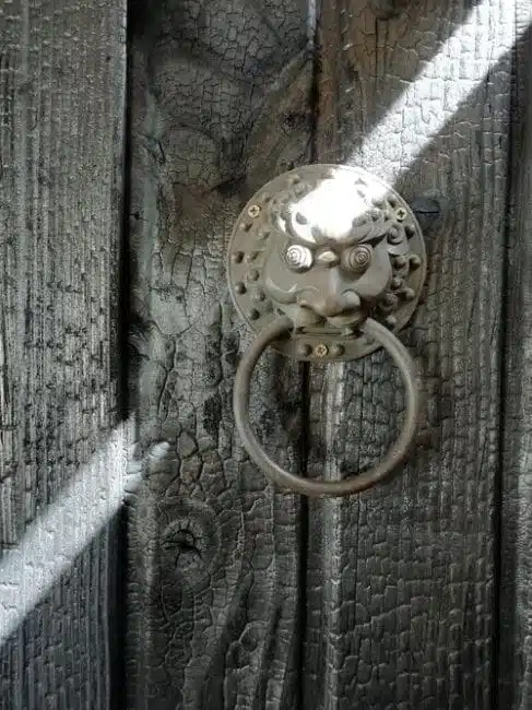 Bois brûlé et lion en bronze