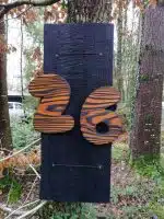 Teintes à bois couleurs base eau – Image 6