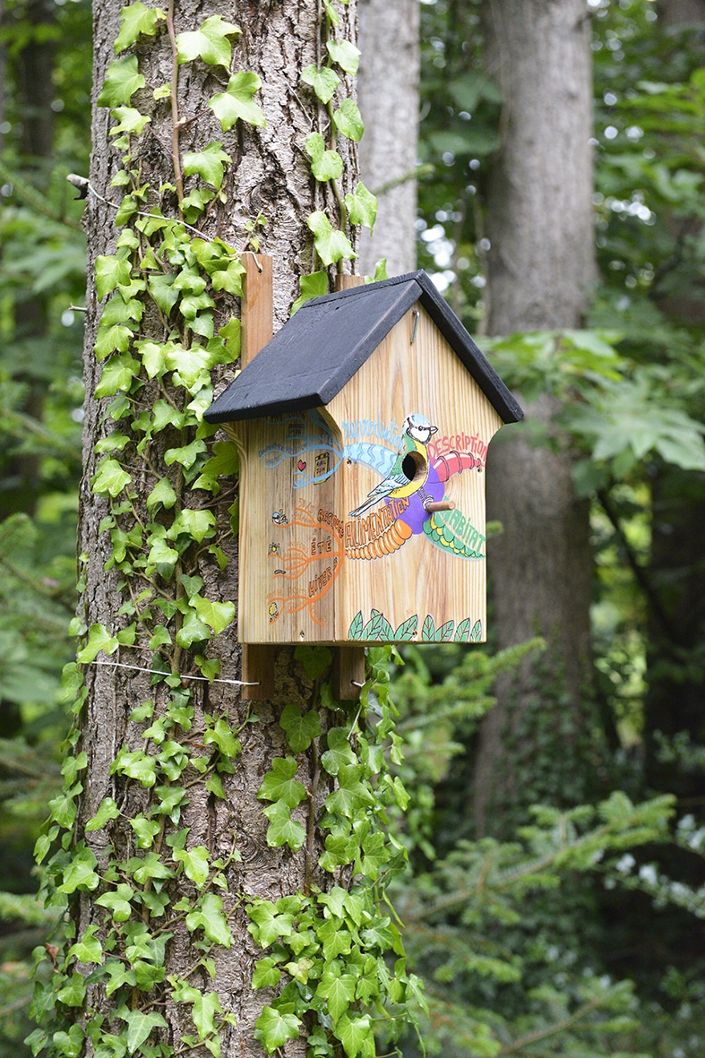 nichoir à oiseau / mésange en bois et carte mentale colorée