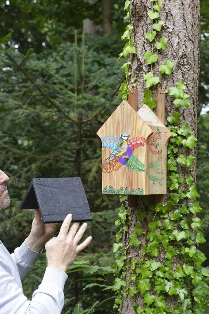toit de nichoir à mésange amovible