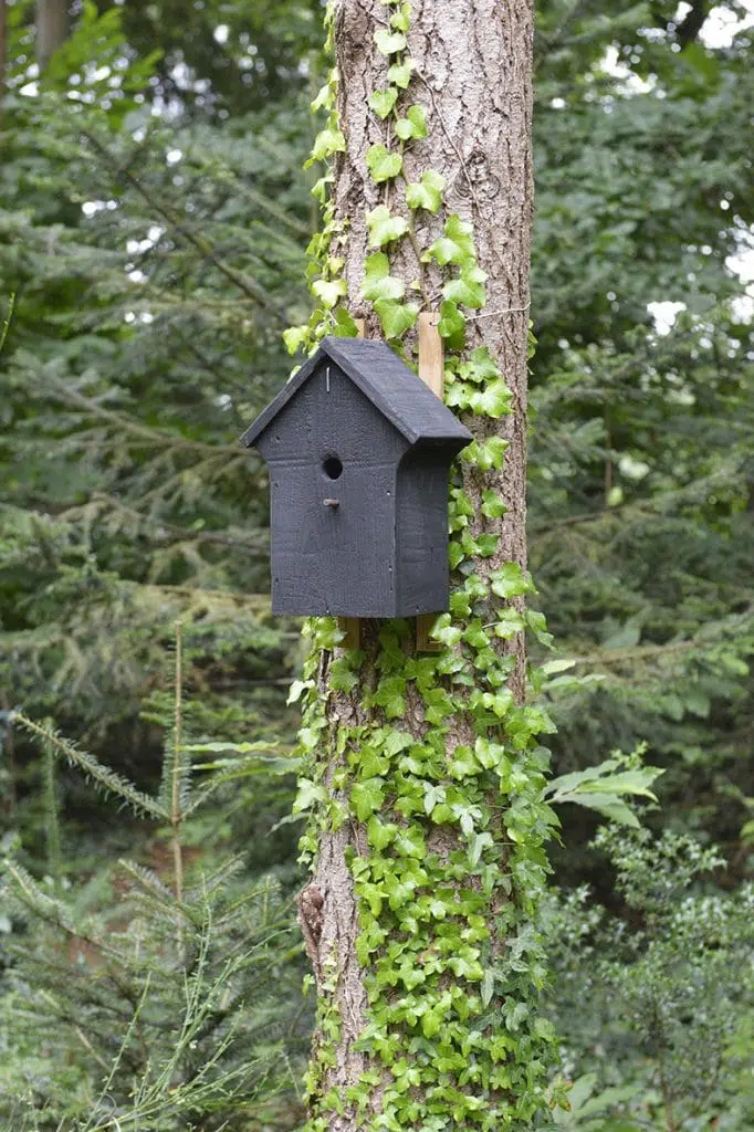 nichoir à mésange en bois brûlé