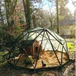 poulailler dôme fait maison dans notre jardin forêt
