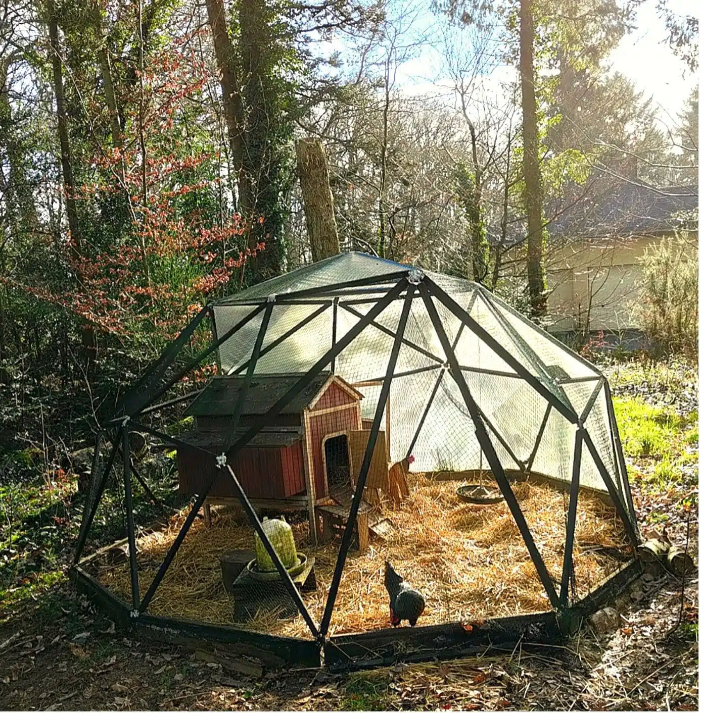 poulailler dôme fait maison dans notre jardin forêt