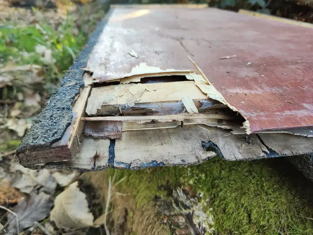 panneau déchiqueté d'un poulailler acheté