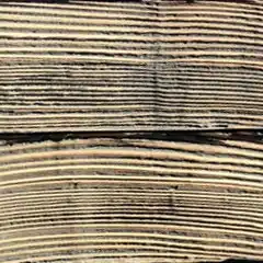 bois brulé brossé shou sugi ban yakisugi