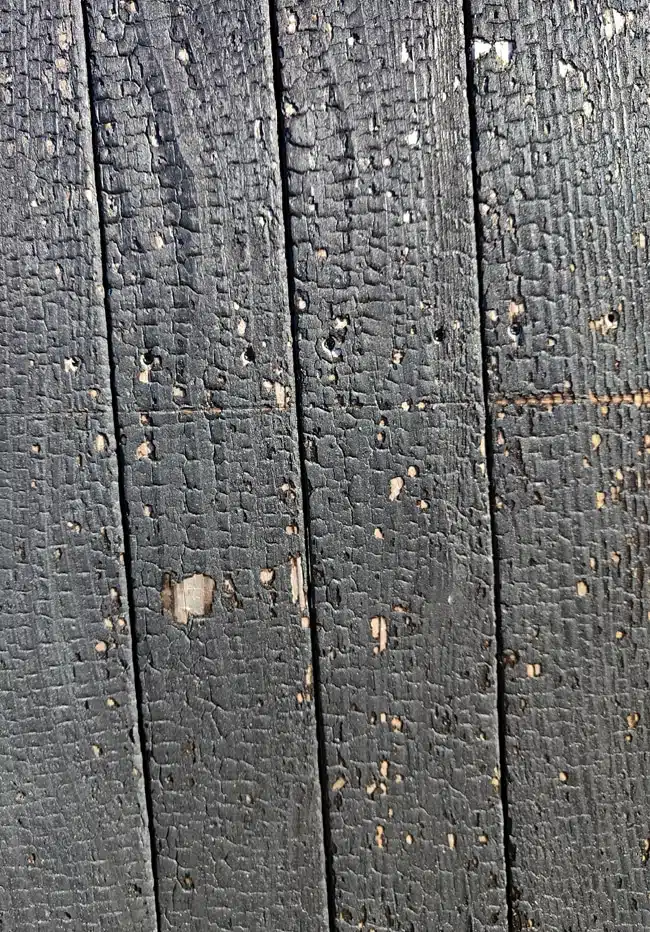 impacts de grêle sur yakisugi