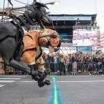 course de chiens géants Royal de Luxe protégés par l'huile Sol-éco