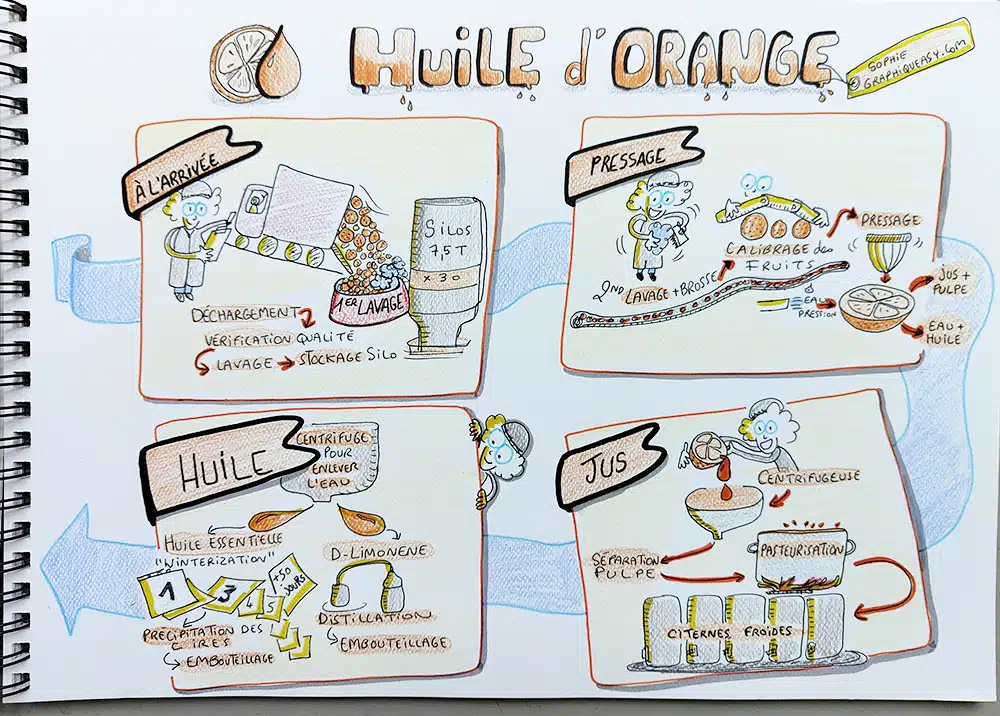 sketchnote huile d'orange
