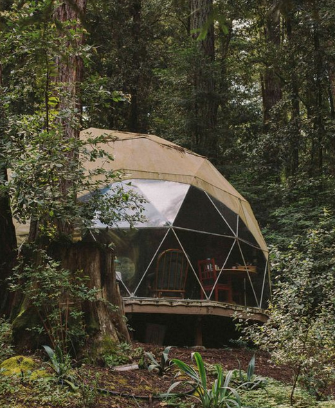 dome geodesique dans les bois