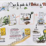 Planche dessinée qui explique l'origine et la fabrication de l'huile de tung