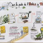 Planche dessinée qui explique l'origine et la fabrication de l'huile de tung