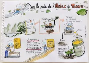 Planche dessinée qui explique l'origine et la fabrication de l'huile de tung