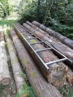 rail de guidage sur un tronc de douglas