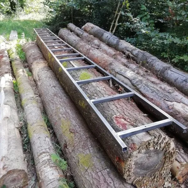 rail de guidage sur un tronc de douglas