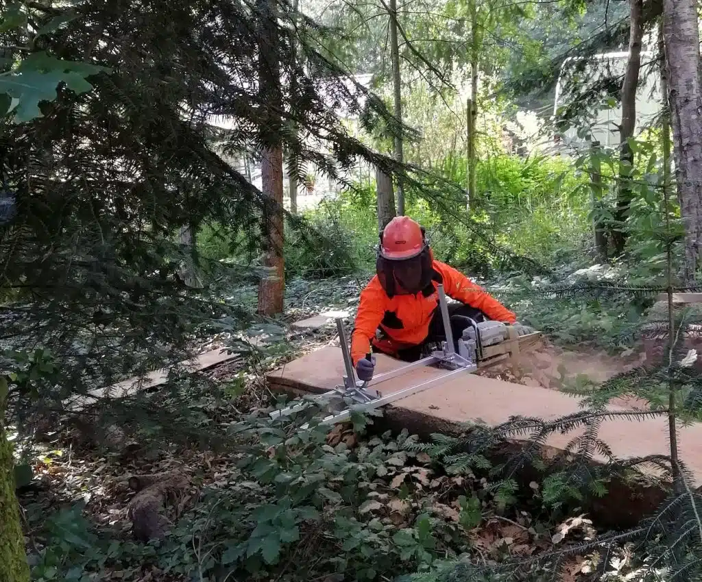 débit à la gruminette de plateaux de douglas dans ma forêt