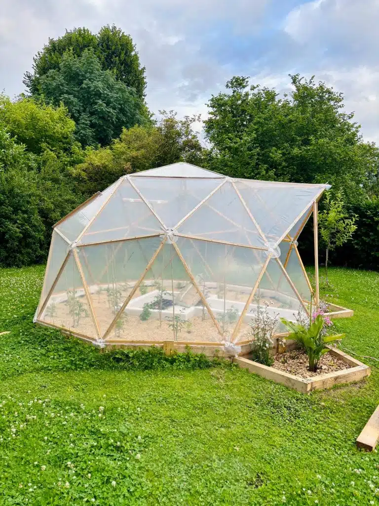 kit de dôme géodésique monté en serre dans un jardin