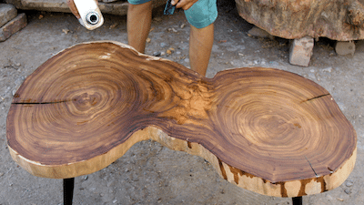 huilage d'une loupe de noyer avec l'huile sol-éco